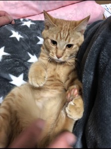 成長しました！