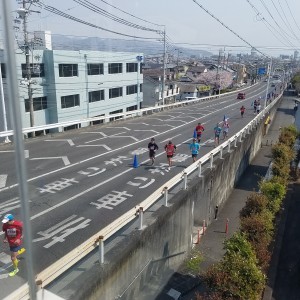日本平桜マラソン